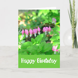 Cartão BirthdayCard, "Estou tão feliz que você foi Nasc
