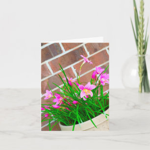 Cartão Birthdays Are Better in Pink (Card)