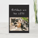 Cartão Birthdays are like Cat Animal Humor<br><div class="desc">If you love Cats or Animals this card will bring a smile to your face.  Before you know it there's another one!</div>