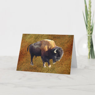 Cartão Bison Buffalo Wildlife Greeting Card