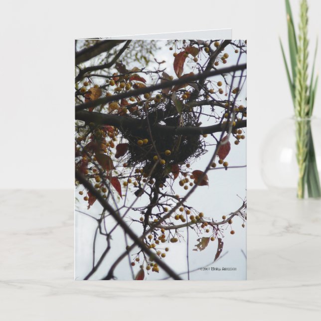 Cartão Bittersweet Nest (Frente)