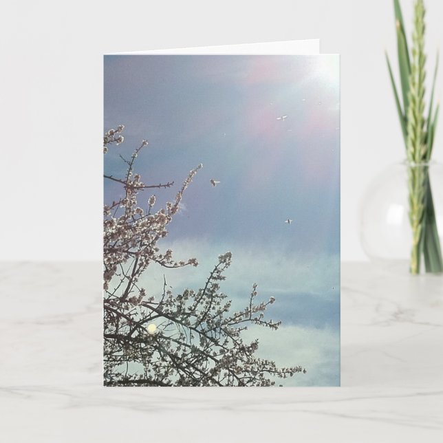 Cartão Bizzy Beezzz (Frente)