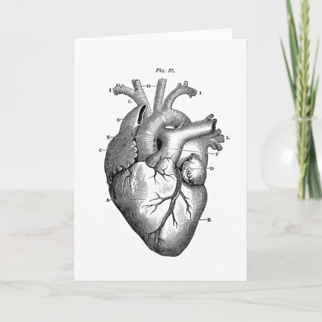 Cartão Black Anatomical Heart (Frente)