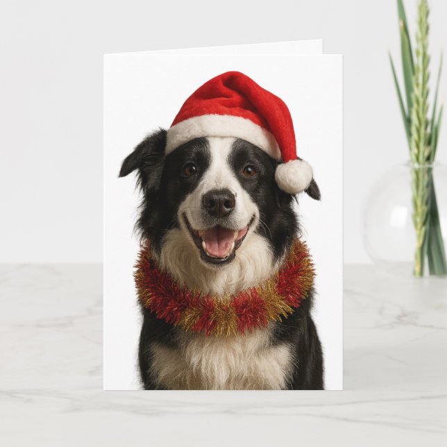 Cartão Black and and white Border Collie Christmas card (Frente)