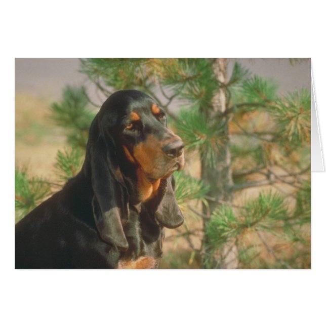 Cartão Black and Tan Coonhound (Frente Horizontal)