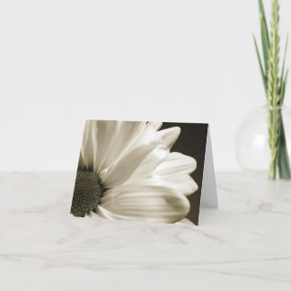 Cartão Black and White Daisy Notecard