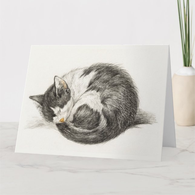 Cartão Black and white pencil drawing of a sleeping cat (Frente)
