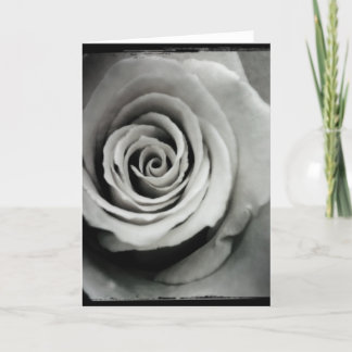 Cartão Black and White Rose Blank Greeting Card