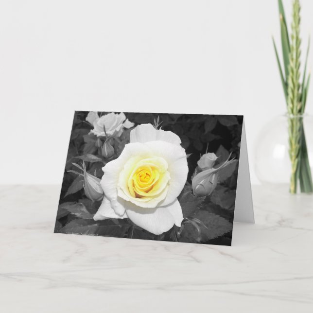 Cartão Black and White Rose with Yellow Focal (Frente)