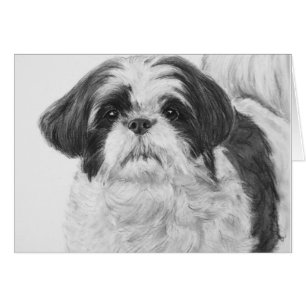 Cartão Black and White Shih Tzu Art