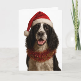 Cartão Black and white Springer Spaniel Christmas card