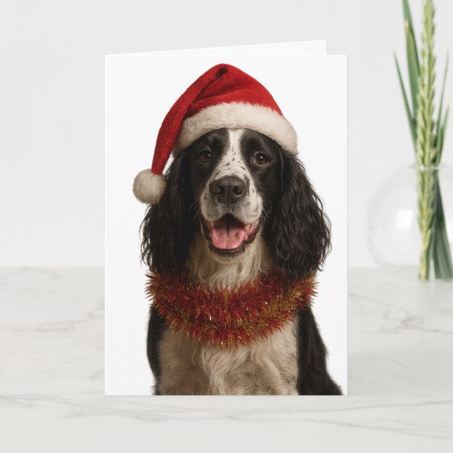Cartão Black and white Springer Spaniel Christmas card (Frente)