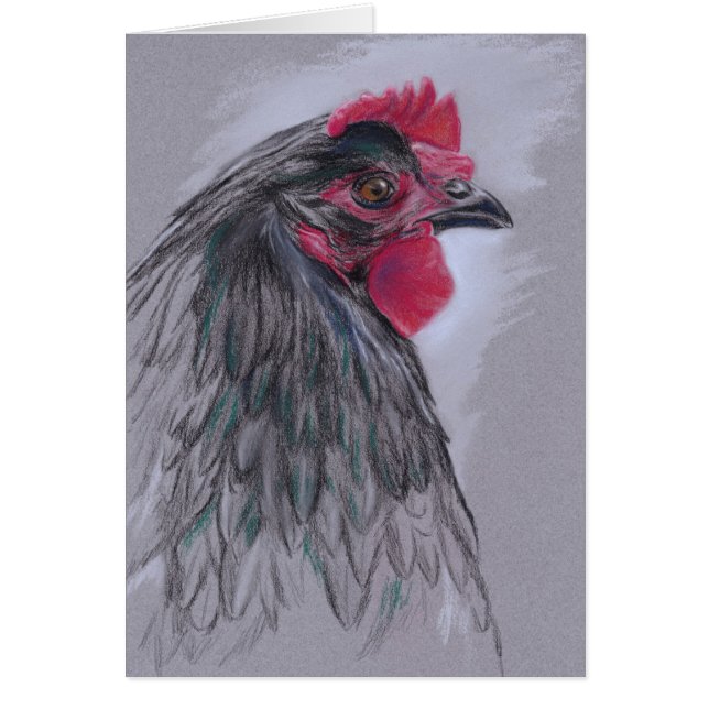 Cartão Black Australorp Hen (Frente)