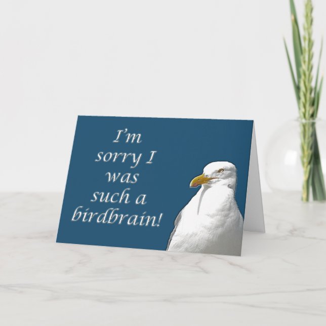 Cartão Black-Backed Gull I'm Sorry Card (Frente)