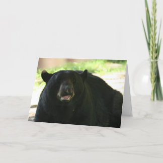 Cartão black bear