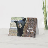 Black Bear Tree Photo Birthday