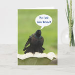 Cartão Black bird screaming Happy Birthday for a friend<br><div class="desc">This bird was photographed outside in my front yard calling to his friends and I thought he'd make a fine funny card. Feel free to adjust the inside verse to suit your needs. Thank you for visiting my store.</div>