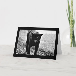 Cartão "Black Cat"