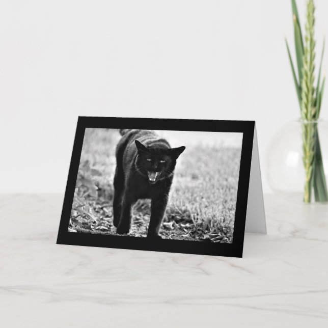Cartão "Black Cat" (Frente)