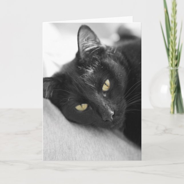 Cartão Black cat (Frente)