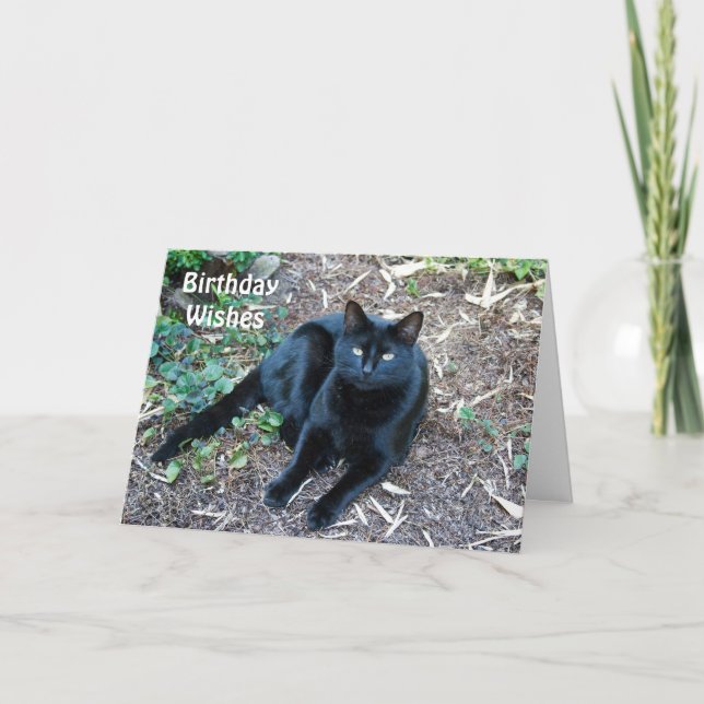 Cartão Black Cat Birthday Card 1 (Frente)