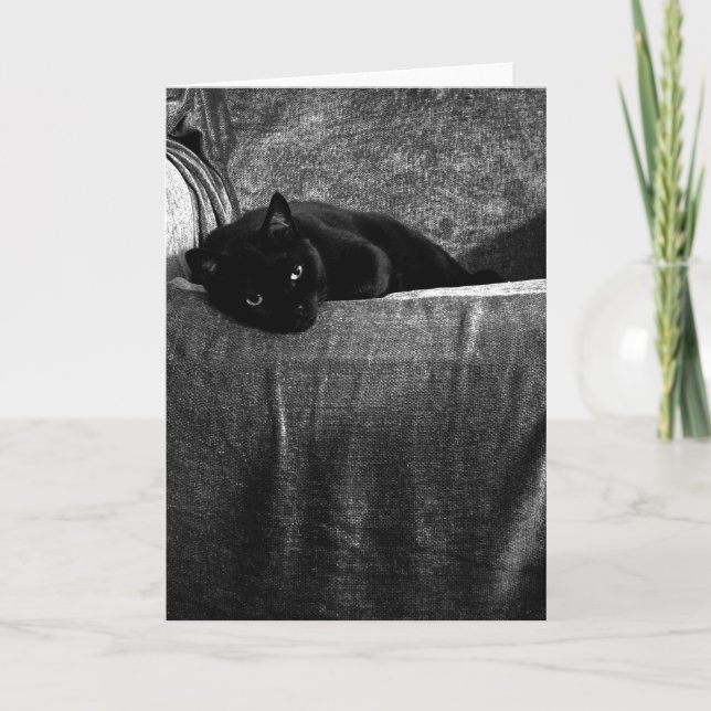 Cartão Black Cat Comfy Greeting Cards (Frente)