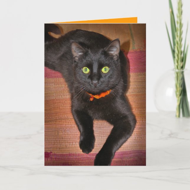Cartão Black Cat Halloween Card (Frente)