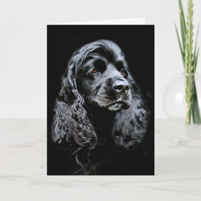 Cartão Black Cocker Spaniel (Frente)