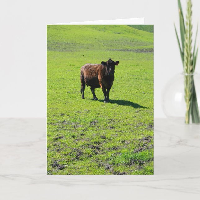 Cartão Black Cow Greeting Card,Note Card (Frente)