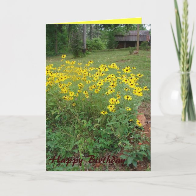 Cartão Black-Eyed Susan Card (Frente)