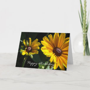 Cartão Black Eyed Susan Daisies Birthday