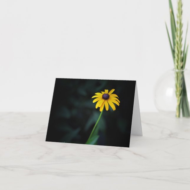 Cartão Black-Eyed Susan Note Card (Frente)