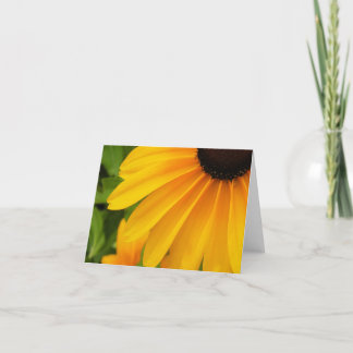 Cartão Black Eyed Susan Note Card