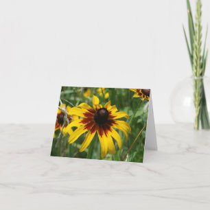 Cartão Black-eyed Susan Note Card