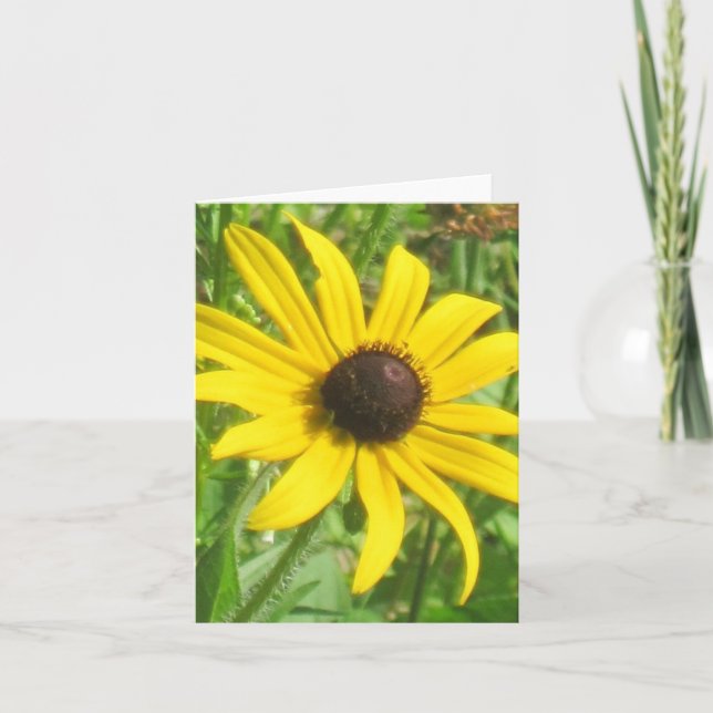 Cartão Black-eyed Susan Note Card (Frente)
