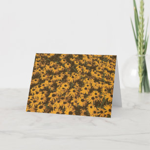 Cartão Black Eyed Susan Wild Flowers Daisy Garden Yellow