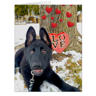 Cartão Black GSD Puppy with Hearts & Big Love Valentine