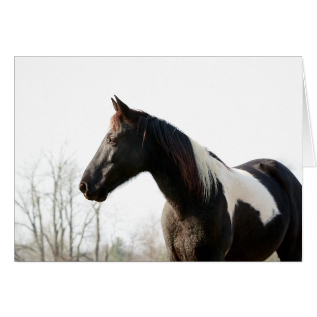 Cartão Black Jack (Frente Horizontal)