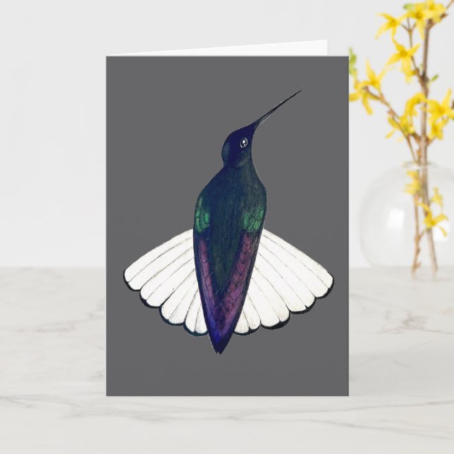 Cartão Black Jacobin Hummingbird  (Flor Amarela)