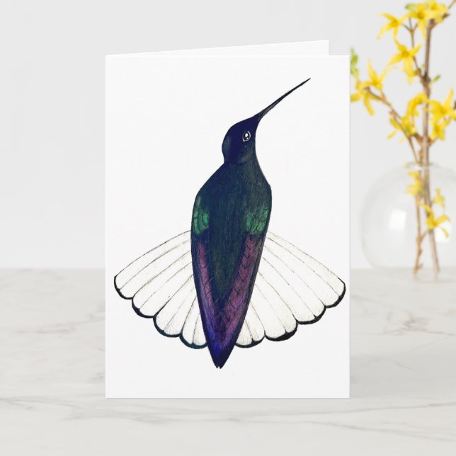 Cartão Black Jacobin Hummingbird  (Flor Amarela)