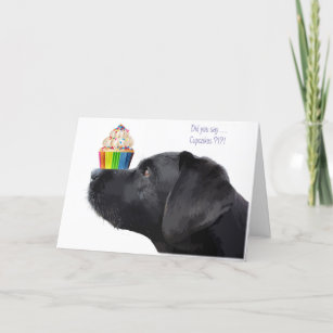 Cartão Black Lab Birthday Card - Dog Birthday
