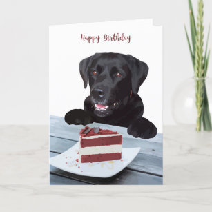 Cartão Black Lab Birthday Card - Dog Birthday Card