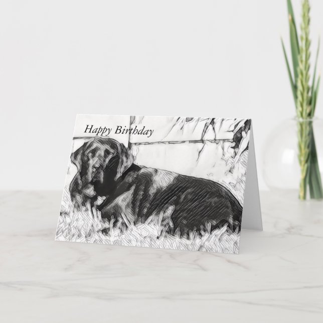 Cartão Black Lab Lay in the Sun Birthday (Frente)