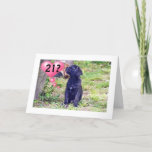 Cartão BLACK LAB PUPPY SAYS "ENJOY 21st BIRTHDAY!"<br><div class="desc">THIS BLACK LAB PUPPY IS SO READY TO SAY "HAPPY 21st BIRTHDAY" TO YOUR FRIEND OR FAMILY MEMBER RIGHT NOW!!!!!</div>