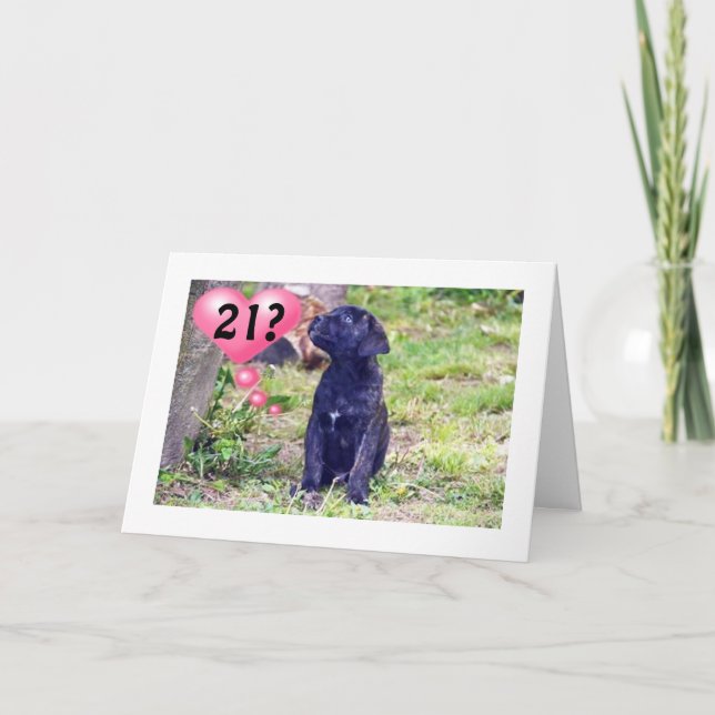 Cartão BLACK LAB PUPPY SAYS "ENJOY 21st BIRTHDAY!" (Frente)