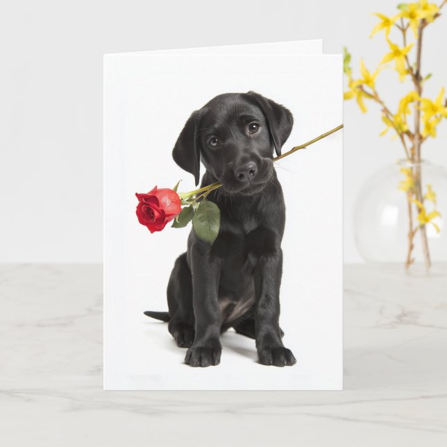 Cartão Black Lab Valentine (Flor Amarela)