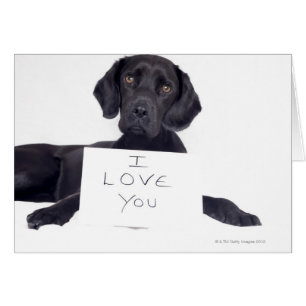 Cartão Black Labrador 13 Meses