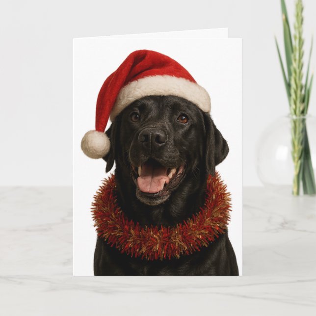 Cartão Black Labrador Retriever Christmas card (Frente)