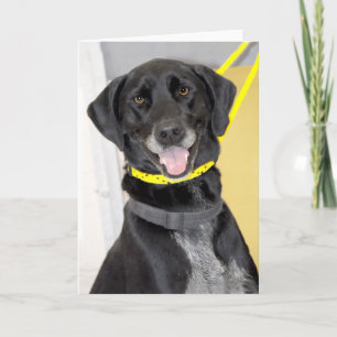 Cartão Black Labrador Retriever Mix Greeting/Note Cards