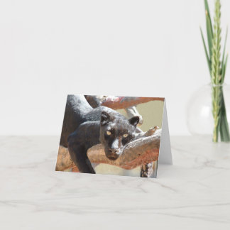 Cartão Black Leopard